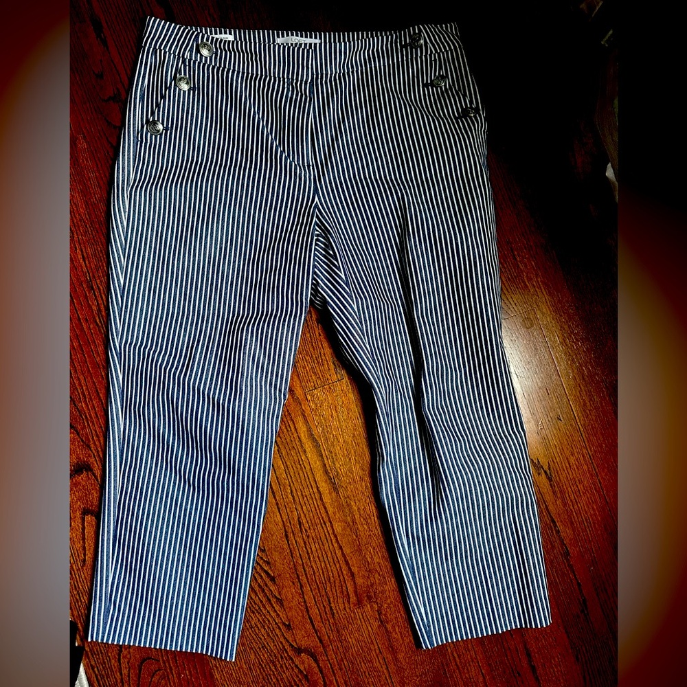 Loft The Rivera Slim Size 12 Petite Blue and White Striped - Sailor Style